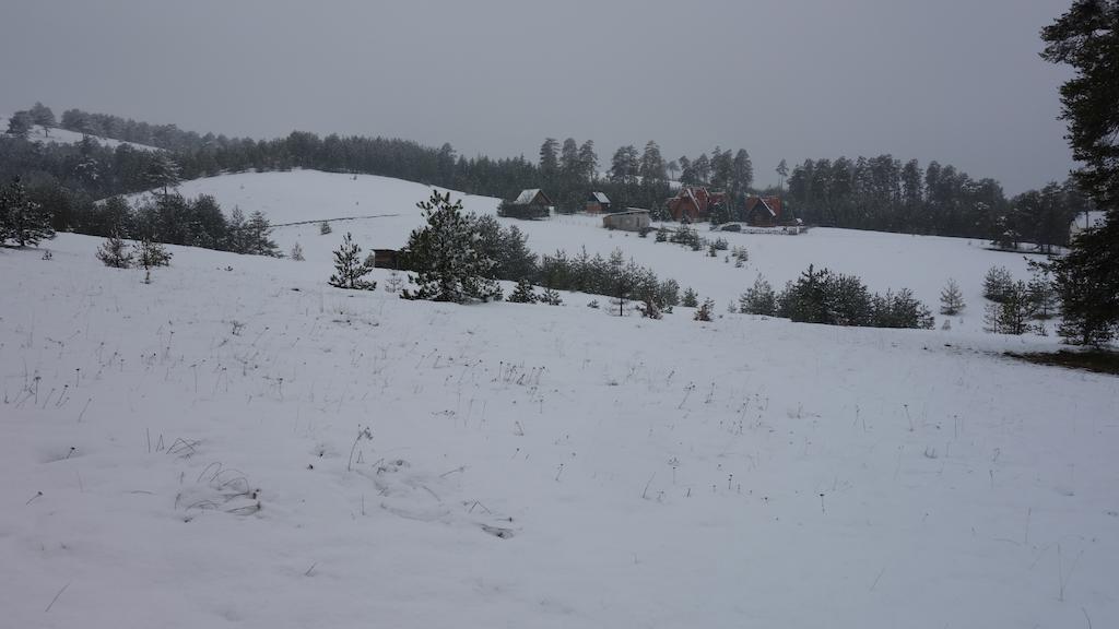 Villa Ducic Zlatibor Exteriér fotografie