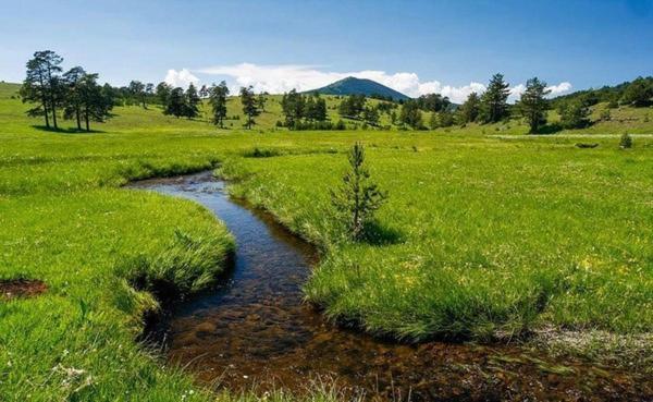 Villa Ducic Zlatibor Exteriér fotografie